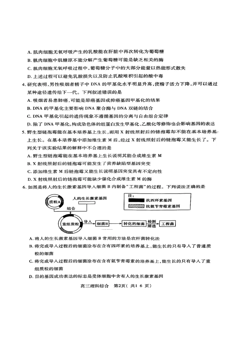 扫描件_理科综合_2024届河南省四市许济洛平高三第二次质量检测_河南省四市许济洛平2024届高三第二次质量检测理综
