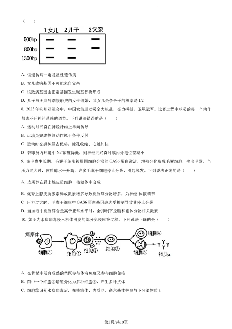 精品解析：山东省济宁市2023-2024学年高三1月期末生物试题（原卷版）_2024届山东省济宁市高三上学期1月期末_山东省济宁市2024届高三1月期末生物
