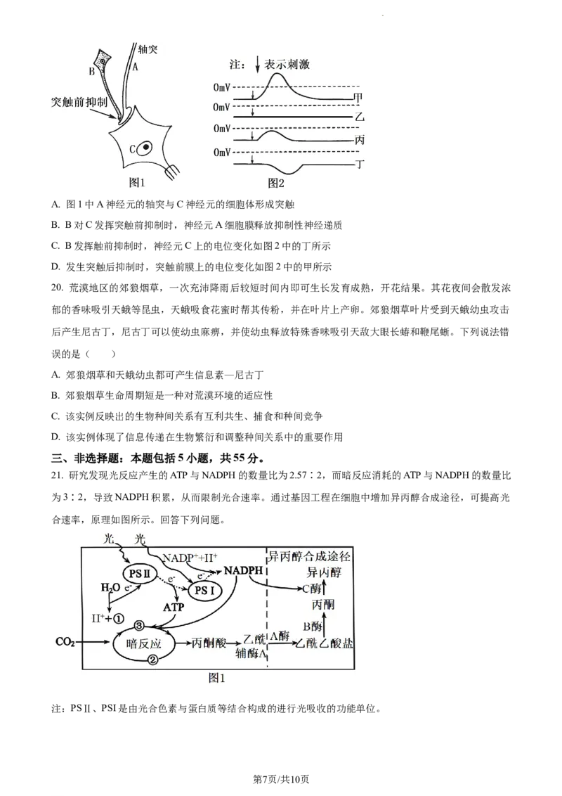 精品解析：山东省济宁市2023-2024学年高三1月期末生物试题（原卷版）_2024届山东省济宁市高三上学期1月期末_山东省济宁市2024届高三1月期末生物