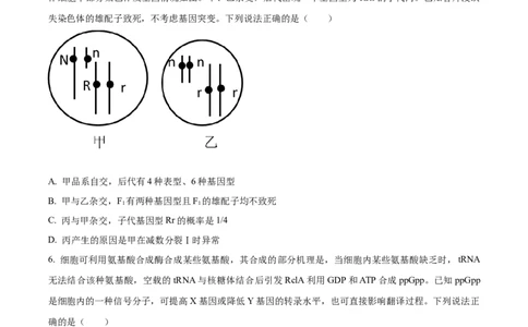 精品解析：山东省济宁市2023-2024学年高三1月期末生物试题（原卷版）_2024届山东省济宁市高三上学期1月期末_山东省济宁市2024届高三1月期末生物