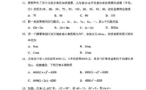 2025云南中考数学真题试卷_2025全国各地《中考真题试卷及答案》_2025云南中考真题及答案