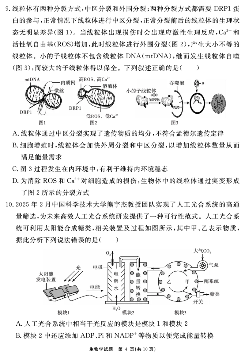 生物学试题_2025年12月_2512072026届名校名师测评卷（三）（全科）_生物学