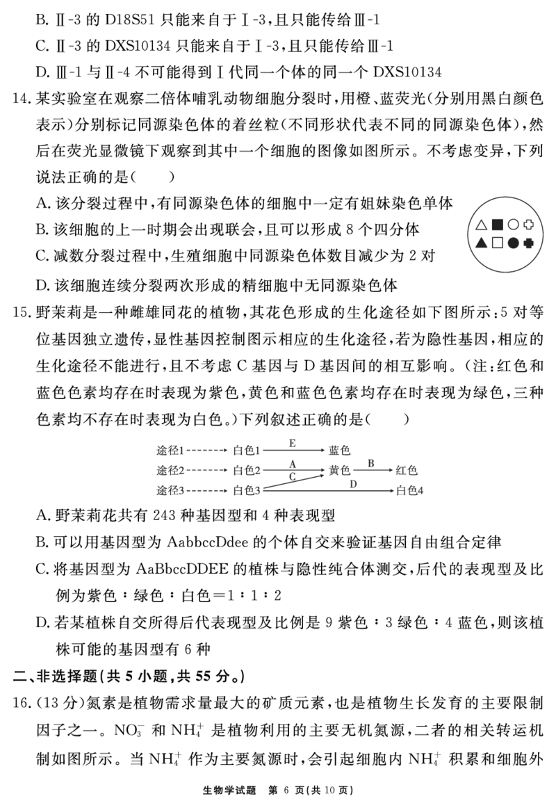 生物学试题_2025年12月_2512072026届名校名师测评卷（三）（全科）_生物学