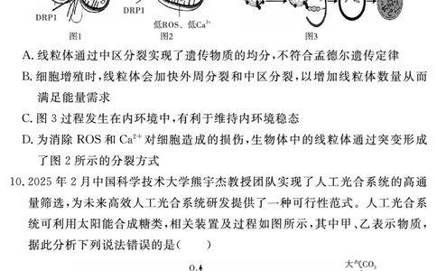 生物学试题_2025年12月_2512072026届名校名师测评卷（三）（全科）_生物学