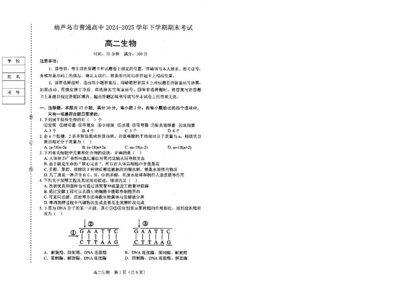 辽宁省葫芦岛市2024-2025学年高二下学期7月期末考试生物试题（含答案）_2025年7月_250723辽宁省葫芦岛市2024-2025学年高二下学期期末考试（全科）