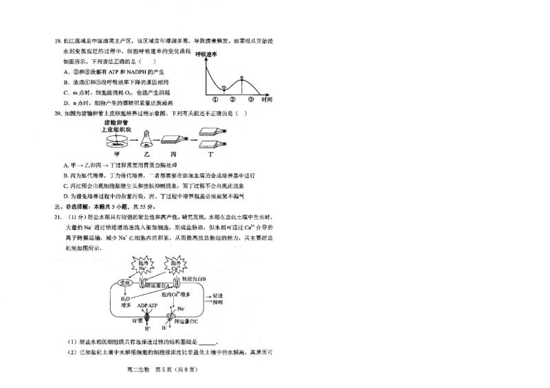 辽宁省葫芦岛市2024-2025学年高二下学期7月期末考试生物试题（含答案）_2025年7月_250723辽宁省葫芦岛市2024-2025学年高二下学期期末考试（全科）