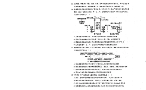 辽宁省葫芦岛市2024-2025学年高二下学期7月期末考试生物试题（含答案）_2025年7月_250723辽宁省葫芦岛市2024-2025学年高二下学期期末考试（全科）