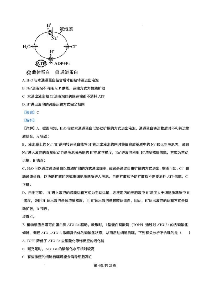 辽宁省县域重点高中2025-2026学年高三上学期期中生物试卷（含答案）_251105辽宁省县域重点高中2025-2026学年高三上学期期中（金太阳103C）