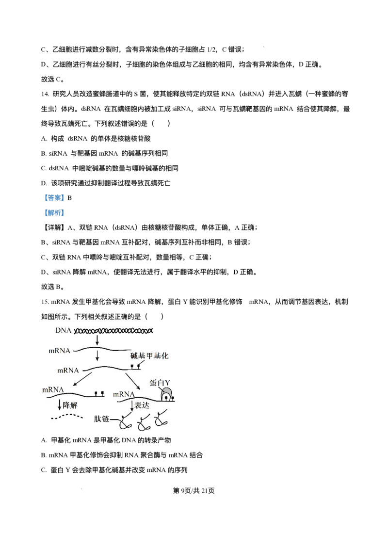 辽宁省县域重点高中2025-2026学年高三上学期期中生物试卷（含答案）_251105辽宁省县域重点高中2025-2026学年高三上学期期中（金太阳103C）
