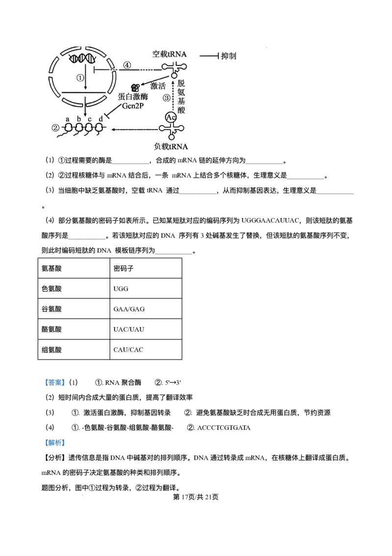 辽宁省县域重点高中2025-2026学年高三上学期期中生物试卷（含答案）_251105辽宁省县域重点高中2025-2026学年高三上学期期中（金太阳103C）