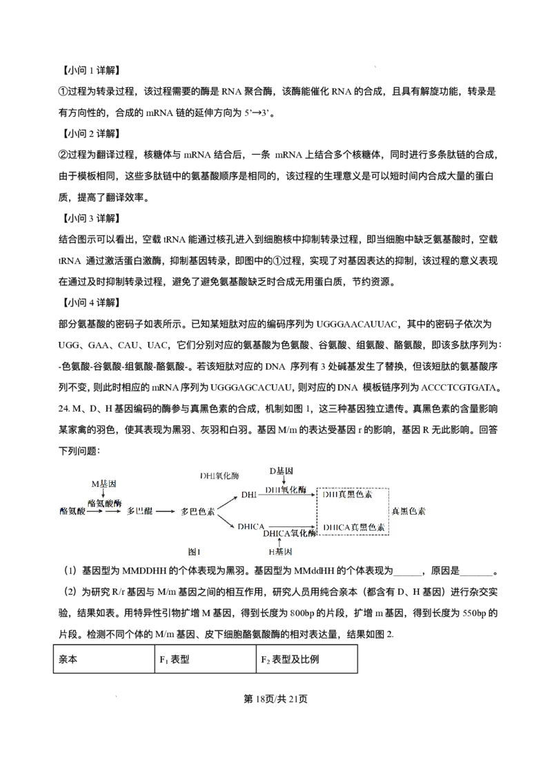 辽宁省县域重点高中2025-2026学年高三上学期期中生物试卷（含答案）_251105辽宁省县域重点高中2025-2026学年高三上学期期中（金太阳103C）