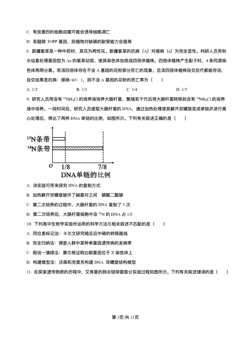 辽宁省县域重点高中2025-2026学年高三上学期期中生物试卷（含答案）_251105辽宁省县域重点高中2025-2026学年高三上学期期中（金太阳103C）