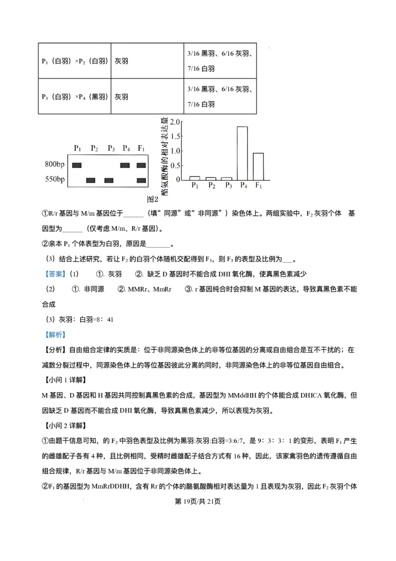 辽宁省县域重点高中2025-2026学年高三上学期期中生物试卷（含答案）_251105辽宁省县域重点高中2025-2026学年高三上学期期中（金太阳103C）