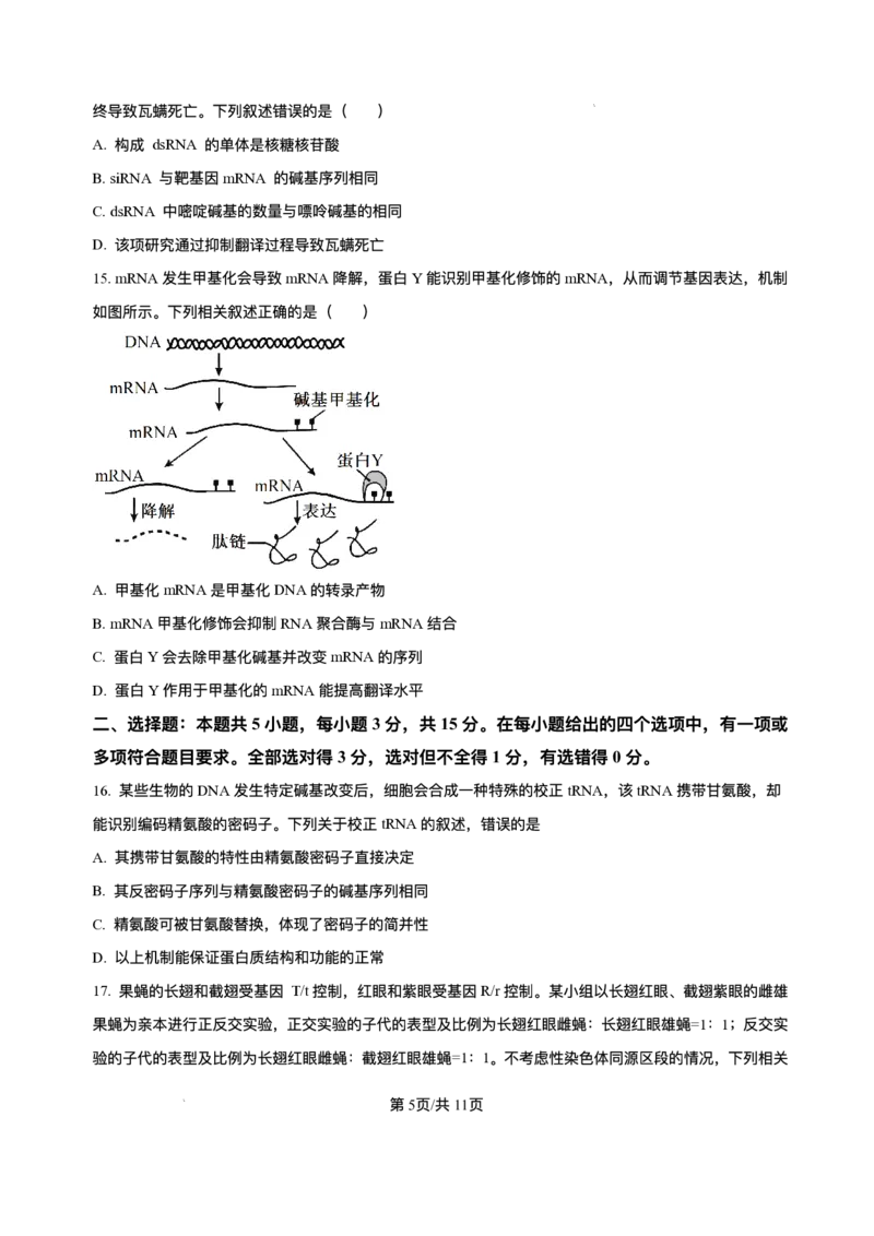 辽宁省县域重点高中2025-2026学年高三上学期期中生物试卷（含答案）_251105辽宁省县域重点高中2025-2026学年高三上学期期中（金太阳103C）