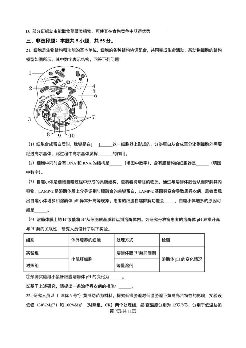 辽宁省县域重点高中2025-2026学年高三上学期期中生物试卷（含答案）_251105辽宁省县域重点高中2025-2026学年高三上学期期中（金太阳103C）