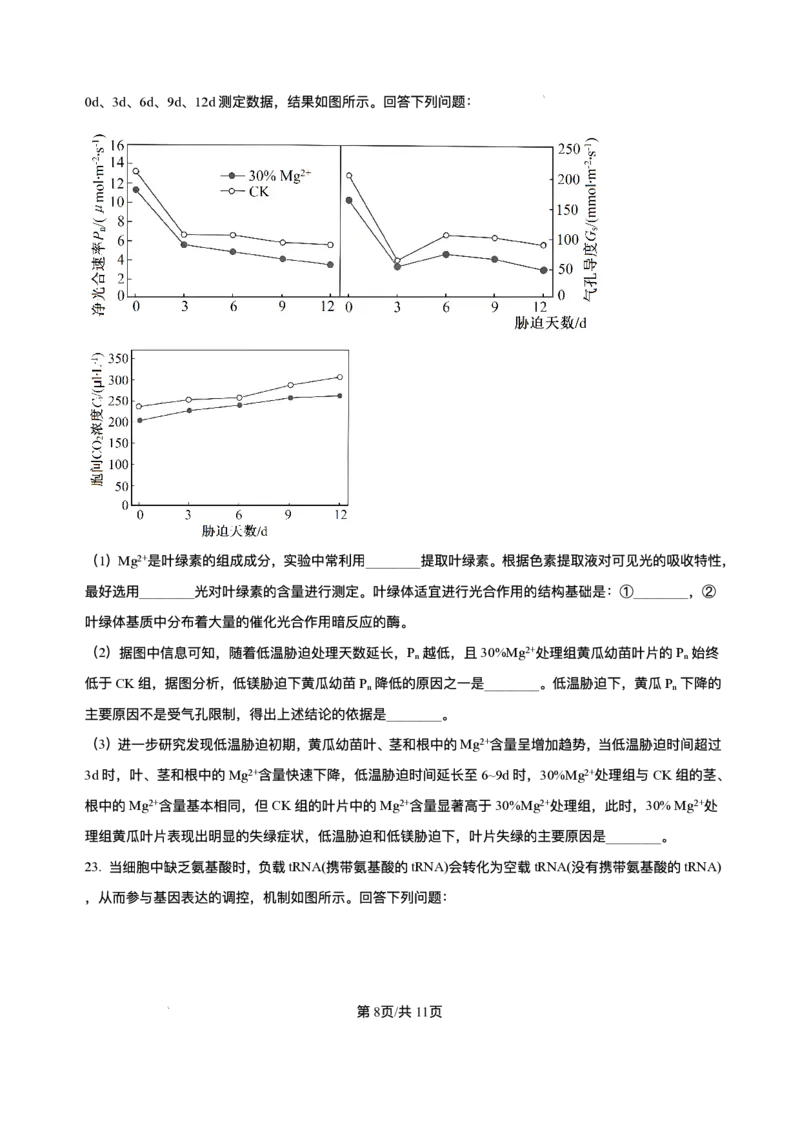 辽宁省县域重点高中2025-2026学年高三上学期期中生物试卷（含答案）_251105辽宁省县域重点高中2025-2026学年高三上学期期中（金太阳103C）