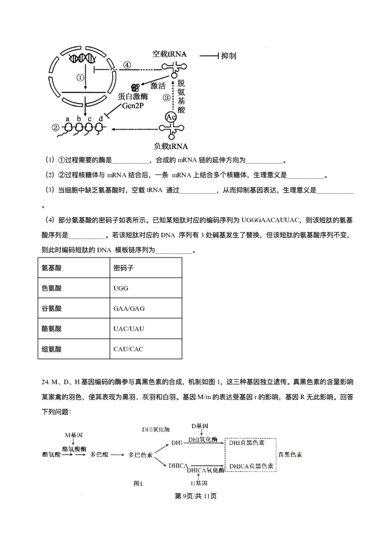 辽宁省县域重点高中2025-2026学年高三上学期期中生物试卷（含答案）_251105辽宁省县域重点高中2025-2026学年高三上学期期中（金太阳103C）