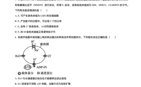 辽宁省县域重点高中2025-2026学年高三上学期期中生物试卷（含答案）_251105辽宁省县域重点高中2025-2026学年高三上学期期中（金太阳103C）