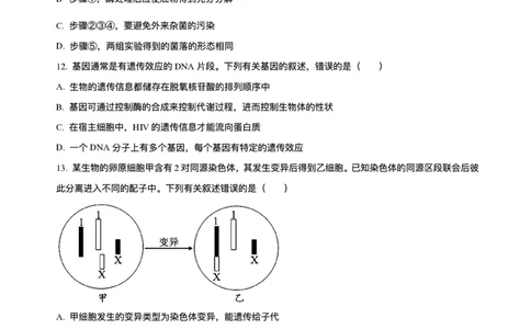 辽宁省县域重点高中2025-2026学年高三上学期期中生物试卷（含答案）_251105辽宁省县域重点高中2025-2026学年高三上学期期中（金太阳103C）