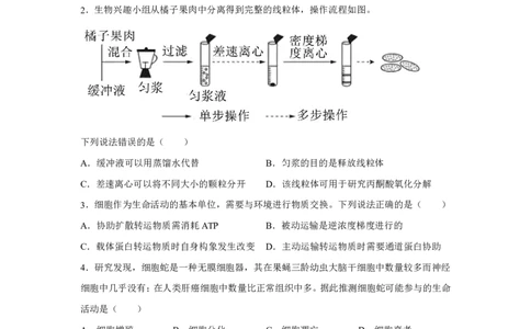 云南2025年高考云南卷生物高考真题文档版_1.高考2025全国各省真题+答案_9.高考生物真题答案更新中
