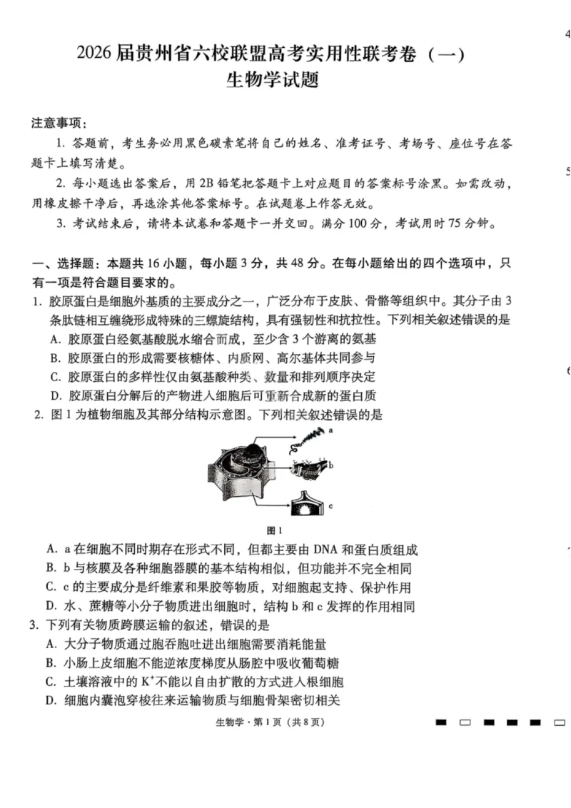 生物试卷-2026届贵州省六校联盟高三高考实用性联考卷（一）_2025年6月_2506182026届贵州省六校联盟高三高考实用性联考卷（一）_2026届贵州省六校联盟高三高考实用性联考卷（一）生物