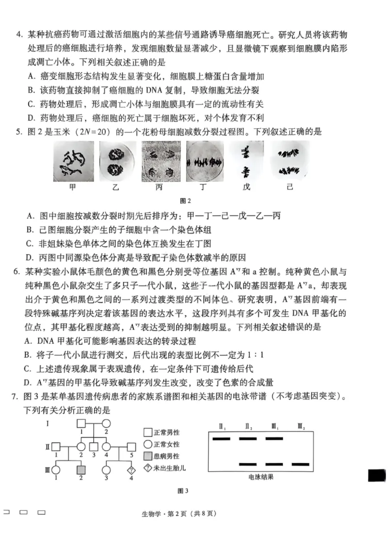 生物试卷-2026届贵州省六校联盟高三高考实用性联考卷（一）_2025年6月_2506182026届贵州省六校联盟高三高考实用性联考卷（一）_2026届贵州省六校联盟高三高考实用性联考卷（一）生物