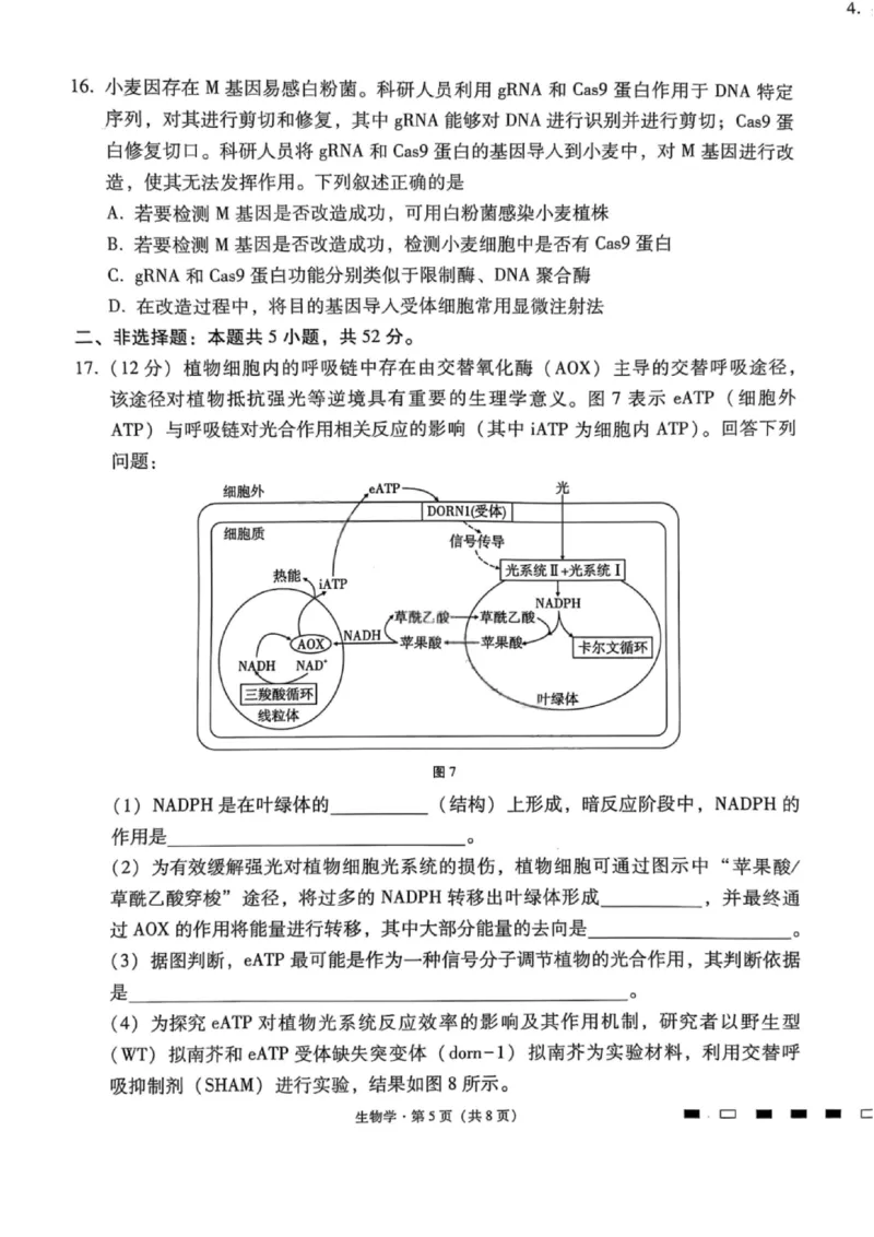 生物试卷-2026届贵州省六校联盟高三高考实用性联考卷（一）_2025年6月_2506182026届贵州省六校联盟高三高考实用性联考卷（一）_2026届贵州省六校联盟高三高考实用性联考卷（一）生物