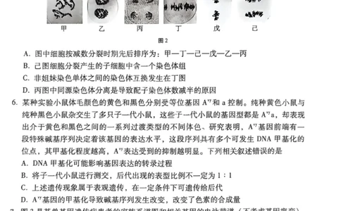 生物试卷-2026届贵州省六校联盟高三高考实用性联考卷（一）_2025年6月_2506182026届贵州省六校联盟高三高考实用性联考卷（一）_2026届贵州省六校联盟高三高考实用性联考卷（一）生物