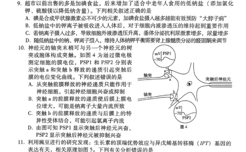 生物试卷-2026届贵州省六校联盟高三高考实用性联考卷（一）_2025年6月_2506182026届贵州省六校联盟高三高考实用性联考卷（一）_2026届贵州省六校联盟高三高考实用性联考卷（一）生物