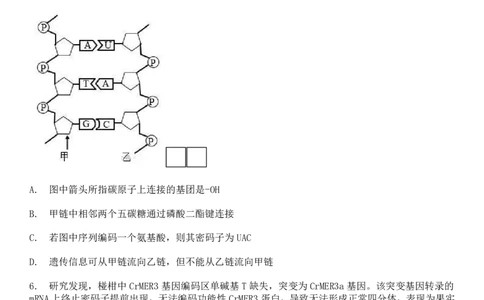 2025年贵州高考生物真题及答案_1.高考2025全国各省真题+答案_00.2025各省市高考真题及答案（按省份分类）_16、贵州卷（全科，持续更新）_6.生物