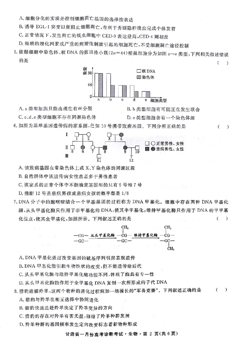 甘肃省2024届高三一月份高考诊断考试&middot;生物试题_2024届甘肃省高三上学期1月份高考诊断考试（甘肃一诊）_甘肃省2024届高三上学期1月份高考诊断考试（甘肃一诊）生物