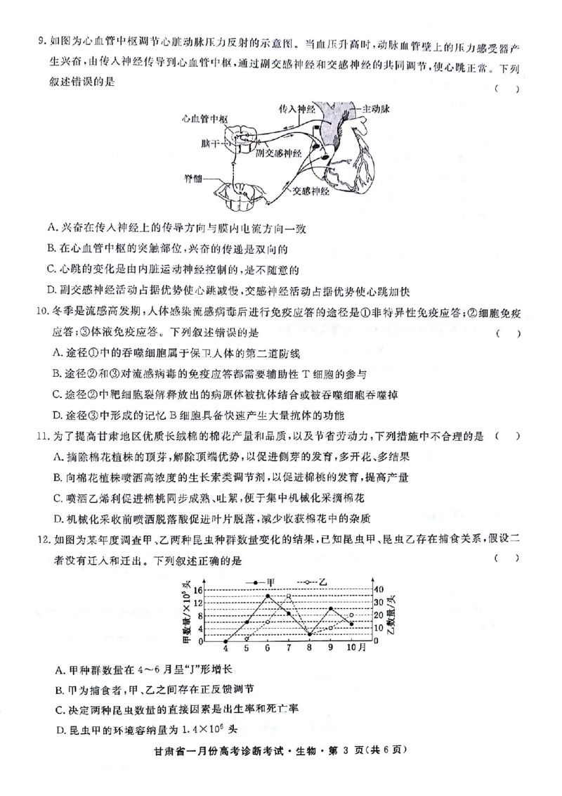 甘肃省2024届高三一月份高考诊断考试&middot;生物试题_2024届甘肃省高三上学期1月份高考诊断考试（甘肃一诊）_甘肃省2024届高三上学期1月份高考诊断考试（甘肃一诊）生物