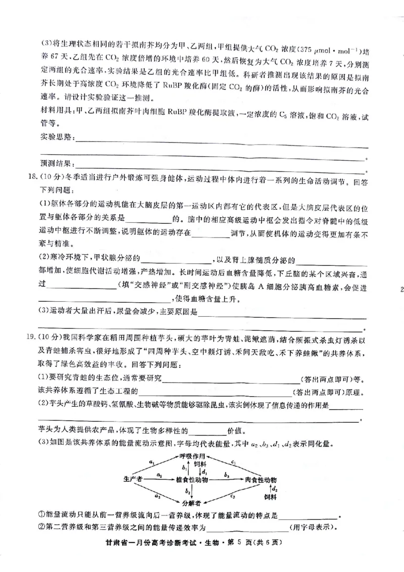 甘肃省2024届高三一月份高考诊断考试&middot;生物试题_2024届甘肃省高三上学期1月份高考诊断考试（甘肃一诊）_甘肃省2024届高三上学期1月份高考诊断考试（甘肃一诊）生物