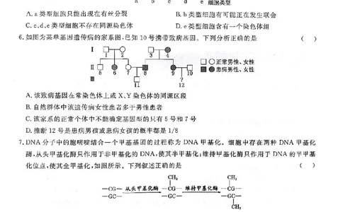 甘肃省2024届高三一月份高考诊断考试&middot;生物试题_2024届甘肃省高三上学期1月份高考诊断考试（甘肃一诊）_甘肃省2024届高三上学期1月份高考诊断考试（甘肃一诊）生物