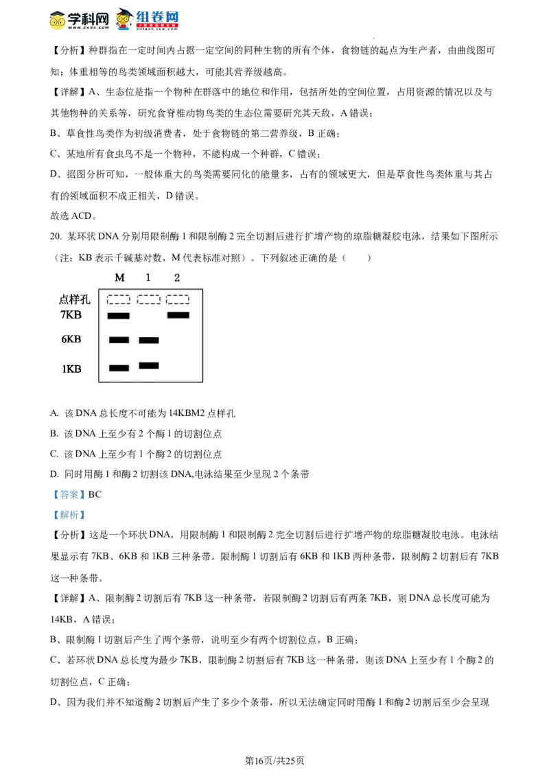 精品解析：山东省枣庄市2023-2024学年高三1月期末质量检测生物试题（解析版）_2024届山东省枣庄市高三上学期期末考试试题_2024届山东省枣庄市高三上学期期末考试试题生物