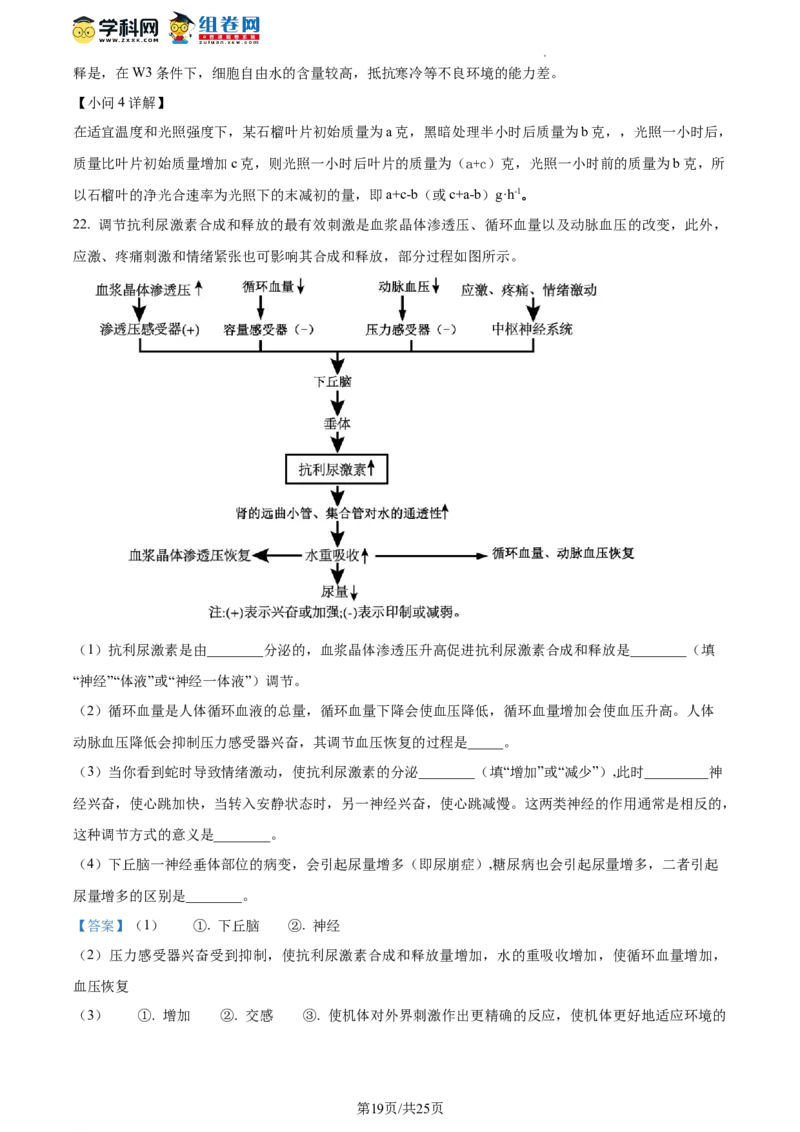 精品解析：山东省枣庄市2023-2024学年高三1月期末质量检测生物试题（解析版）_2024届山东省枣庄市高三上学期期末考试试题_2024届山东省枣庄市高三上学期期末考试试题生物