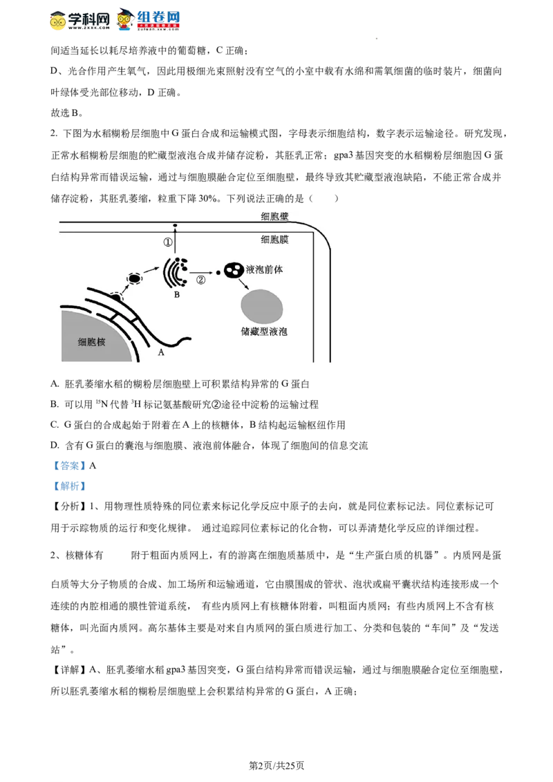 精品解析：山东省枣庄市2023-2024学年高三1月期末质量检测生物试题（解析版）_2024届山东省枣庄市高三上学期期末考试试题_2024届山东省枣庄市高三上学期期末考试试题生物