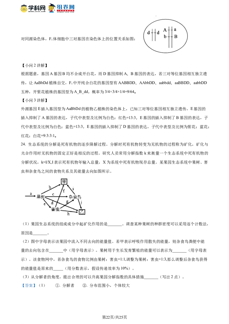 精品解析：山东省枣庄市2023-2024学年高三1月期末质量检测生物试题（解析版）_2024届山东省枣庄市高三上学期期末考试试题_2024届山东省枣庄市高三上学期期末考试试题生物