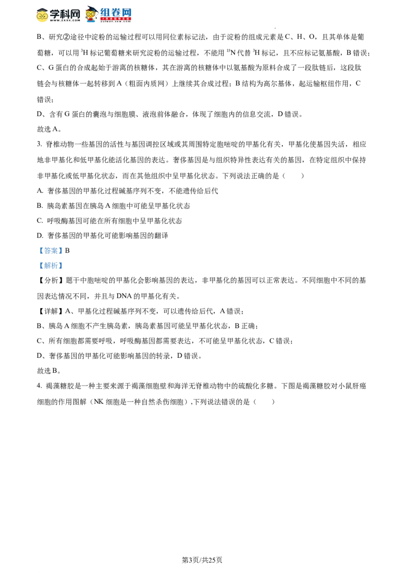 精品解析：山东省枣庄市2023-2024学年高三1月期末质量检测生物试题（解析版）_2024届山东省枣庄市高三上学期期末考试试题_2024届山东省枣庄市高三上学期期末考试试题生物