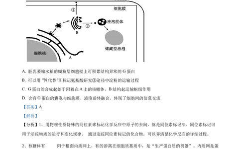 精品解析：山东省枣庄市2023-2024学年高三1月期末质量检测生物试题（解析版）_2024届山东省枣庄市高三上学期期末考试试题_2024届山东省枣庄市高三上学期期末考试试题生物