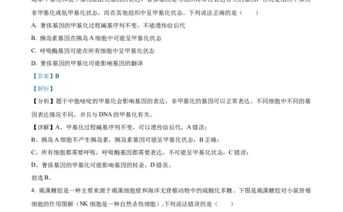 精品解析：山东省枣庄市2023-2024学年高三1月期末质量检测生物试题（解析版）_2024届山东省枣庄市高三上学期期末考试试题_2024届山东省枣庄市高三上学期期末考试试题生物