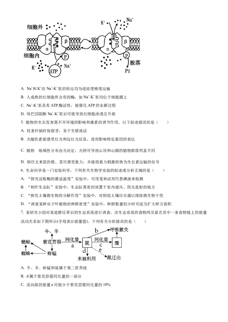 精品解析：广东省深圳市罗湖区2023-2024学年高三1月期末生物试题（原卷版）_2024届广东省深圳市罗湖区高三上学期期末质量监测_广东省深圳市罗湖区2024届高三上学期期末质量监测生物