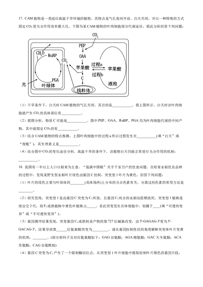 精品解析：广东省深圳市罗湖区2023-2024学年高三1月期末生物试题（原卷版）_2024届广东省深圳市罗湖区高三上学期期末质量监测_广东省深圳市罗湖区2024届高三上学期期末质量监测生物