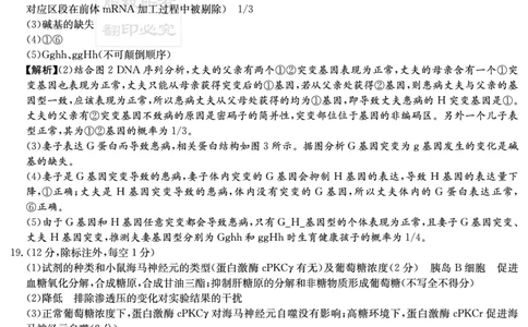 湖南英才大联考雅礼中学2026届高三月考试卷（四）生物答案_2025年12月_251217湖南英才大联考雅礼中学2026届高三月考试卷（四）（全科）_湖南雅礼中学2026届高三月考试卷（四）生物