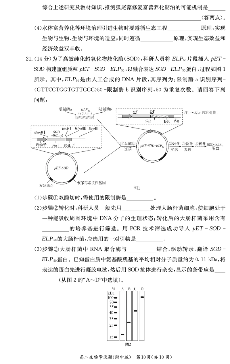 生物试卷-湖南师大附中2024-2025高二下期末_2025年7月_250708湖南师范大学附属中学2024-2025学年高二下学期期末考试（全科）