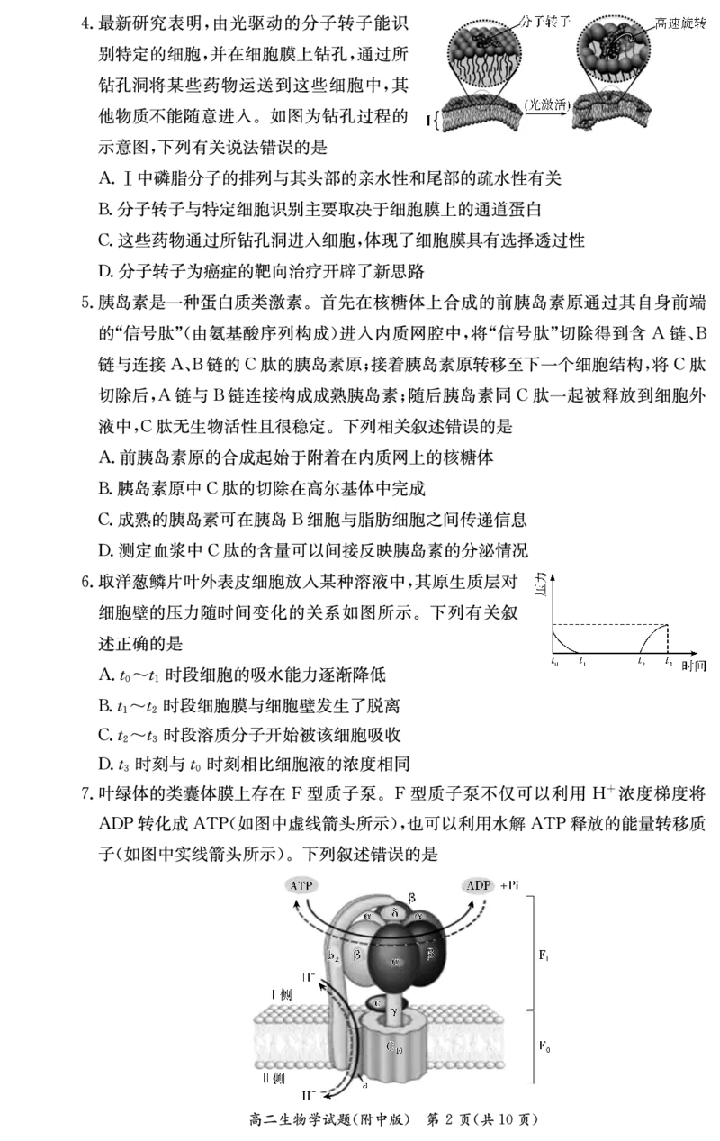 生物试卷-湖南师大附中2024-2025高二下期末_2025年7月_250708湖南师范大学附属中学2024-2025学年高二下学期期末考试（全科）