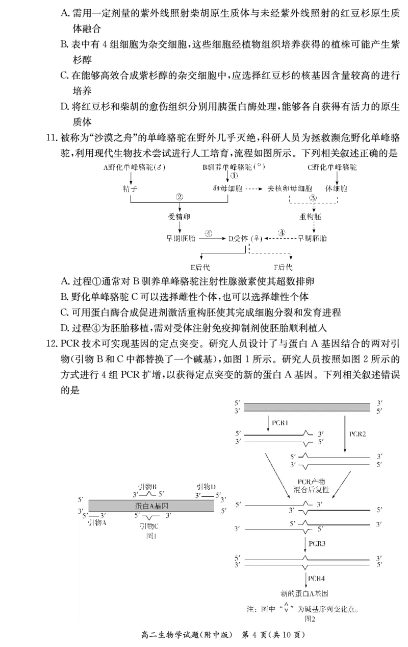生物试卷-湖南师大附中2024-2025高二下期末_2025年7月_250708湖南师范大学附属中学2024-2025学年高二下学期期末考试（全科）