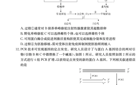 生物试卷-湖南师大附中2024-2025高二下期末_2025年7月_250708湖南师范大学附属中学2024-2025学年高二下学期期末考试（全科）