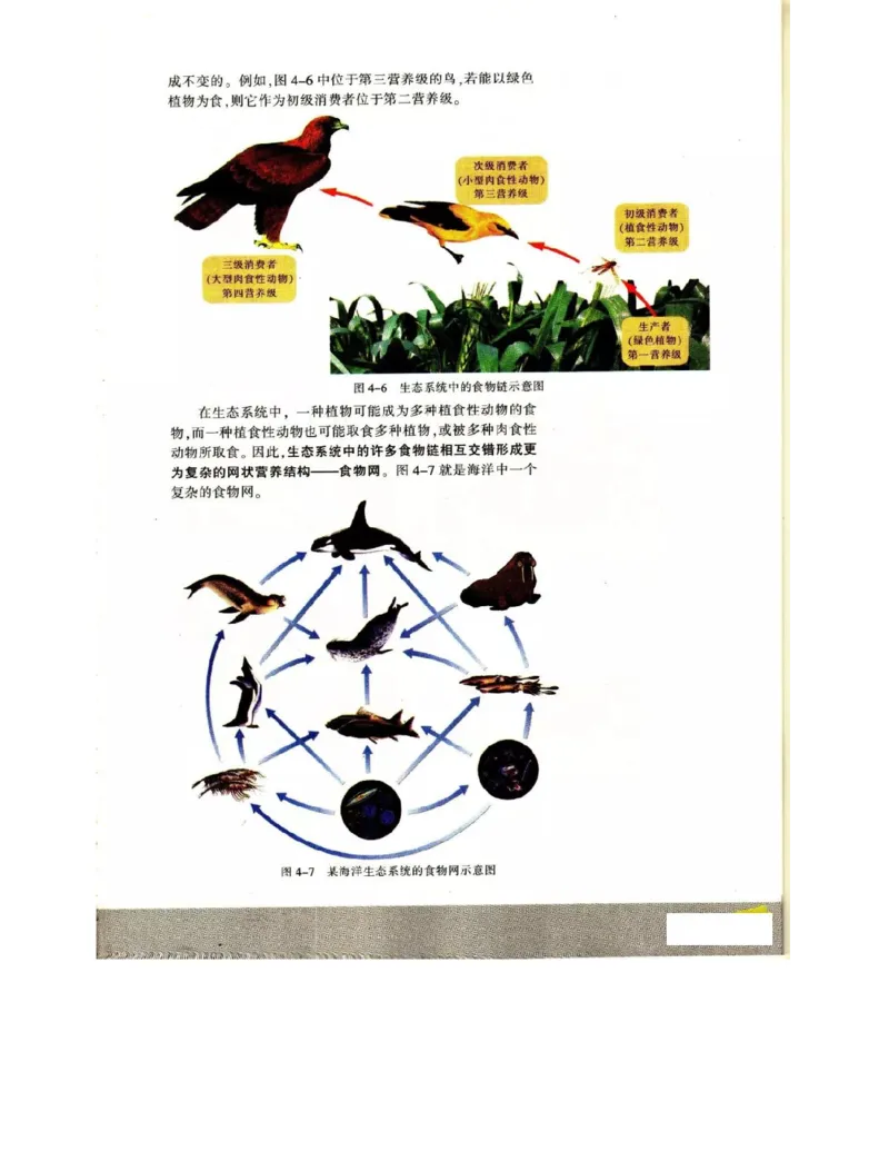 苏教版高中生物必修3《稳态与环境》电子课本_4-教培资料-26年最新资料-同步更新_初中高中教资_03科三专项（进去保存报考的学科即可）_112025高中科目（全）电子教材