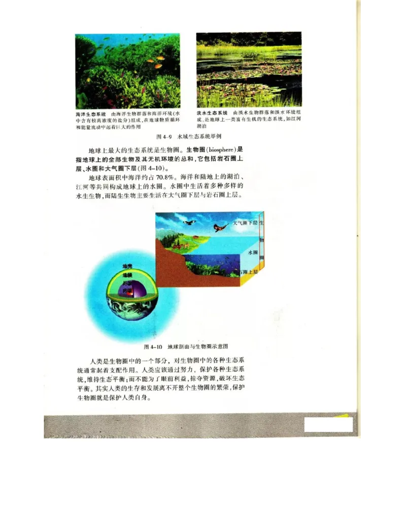 苏教版高中生物必修3《稳态与环境》电子课本_4-教培资料-26年最新资料-同步更新_初中高中教资_03科三专项（进去保存报考的学科即可）_112025高中科目（全）电子教材